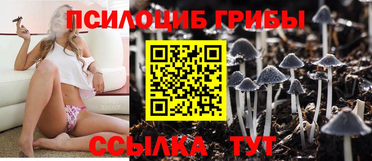 Галлюциногенные грибы GOLDEN TEACHER Ростов-на-Дону